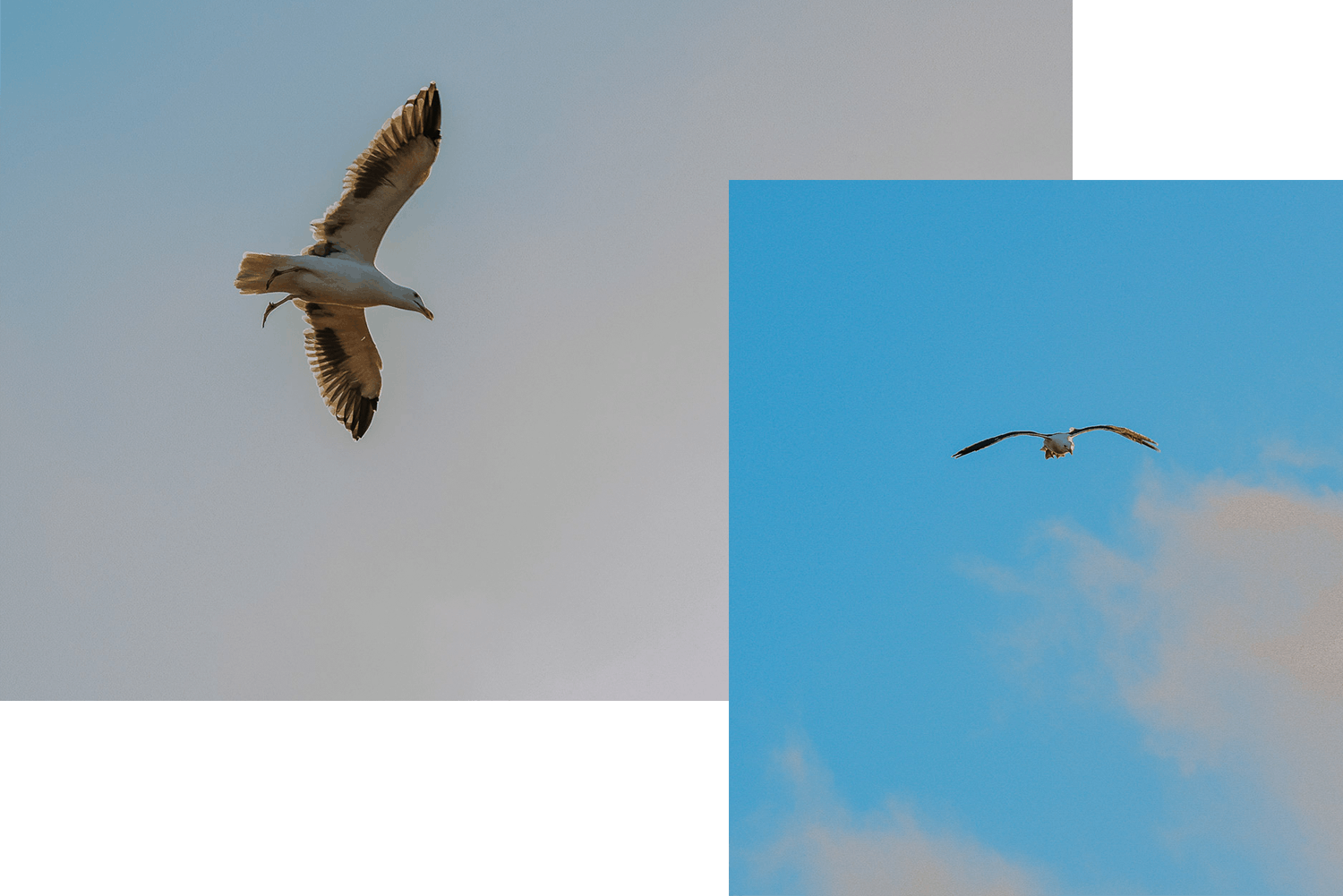 Fotografía de save the date en Ensenada Baja California por fotógrafo de bodas destino en México